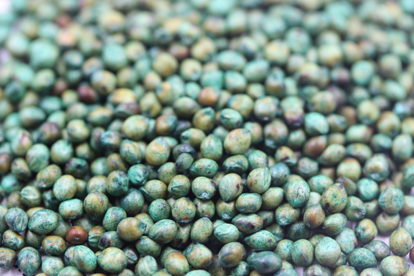 大力士甜高粱種子畝播種用量 大力士甜高粱種子畝播種用量