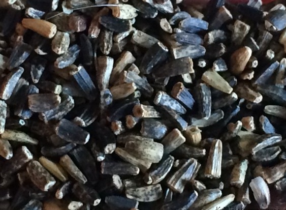 串葉松香草種子畝播種用量 串葉松香草種子畝播種用量