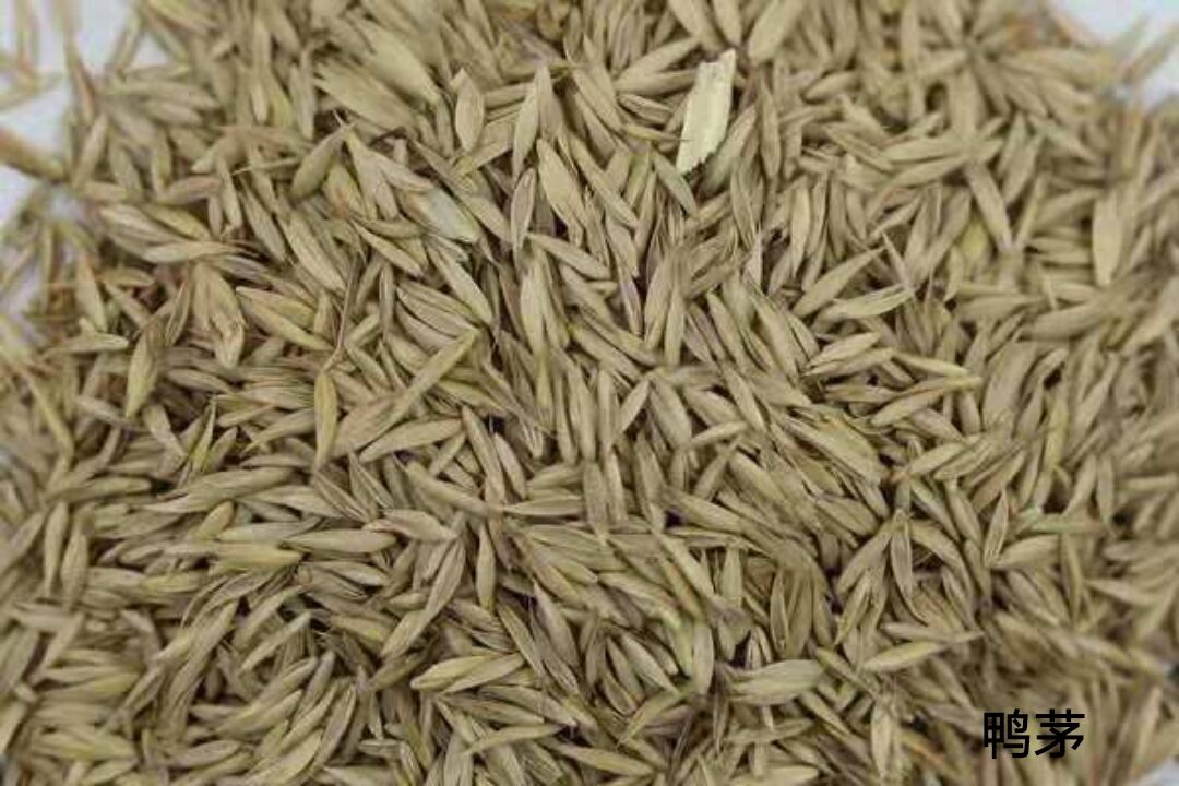 1564497078610311.jpg 1564497078610311.jpg