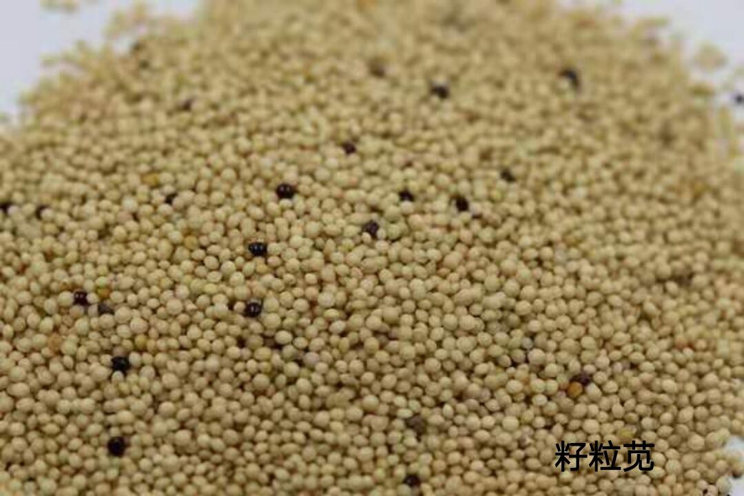 1564497103992639.jpg 1564497103992639.jpg