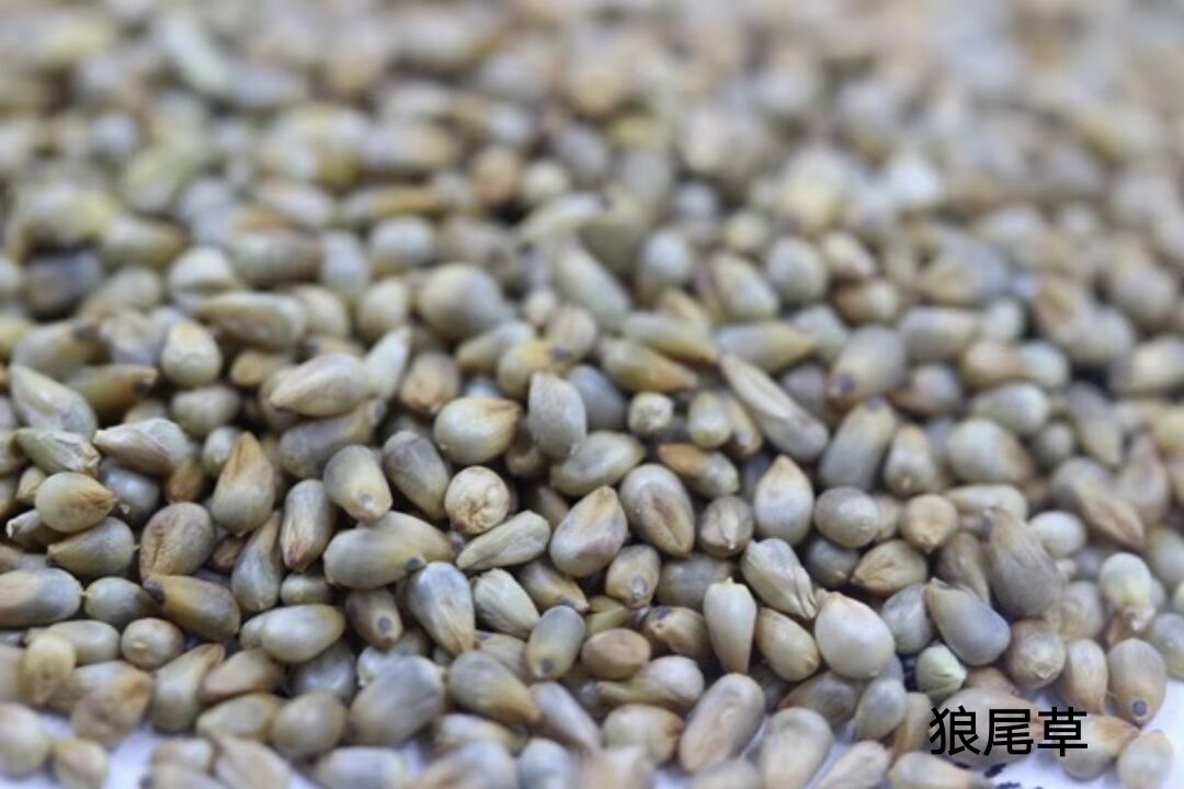 1564497123992618.jpg 1564497123992618.jpg