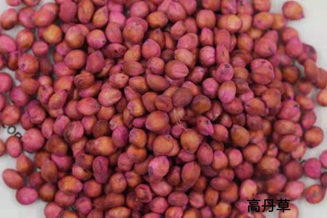 1564498110974488.jpg 1564498110974488.jpg