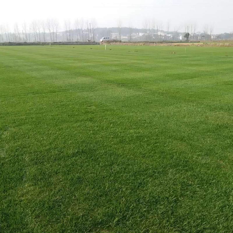 百慕大.jpg 百慕大.jpg