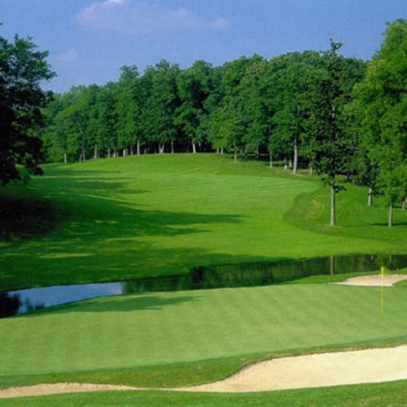 四季青草坪 四季青草坪