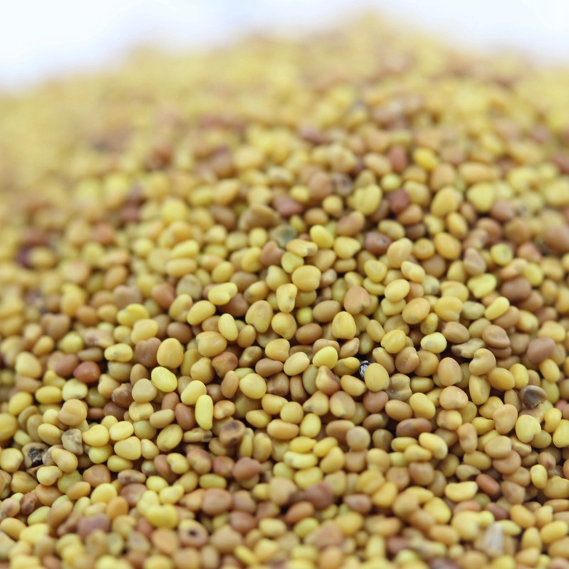 白三葉.jpg 白三葉.jpg