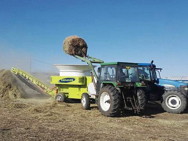 最適合養(yǎng)牛的四種牧草有哪些 最適合養(yǎng)牛的四種牧草有哪些