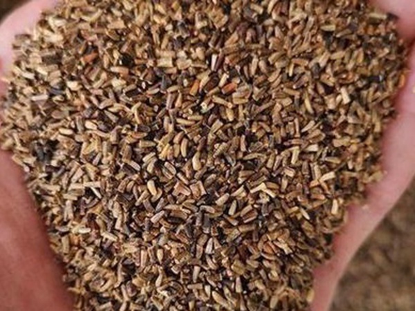 種植菊苣搞養(yǎng)殖技術(shù)是什么可以提高產(chǎn)量 種植菊苣搞養(yǎng)殖技術(shù)是什么可以提高產(chǎn)量