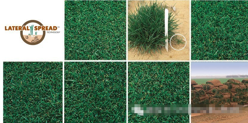 1589358557373190.jpg 微信圖片_20200513162600.jpg