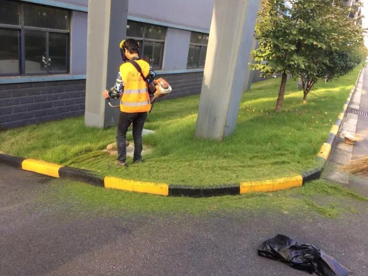 果嶺草冬季養(yǎng)殖方法以及養(yǎng)護(hù)技術(shù) 果嶺草冬季養(yǎng)殖方法以及養(yǎng)護(hù)技術(shù)