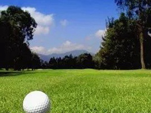 哪里有賣高爾夫球場的草坪種子,哪家種子質量有保障? 哪里有賣高爾夫球場的草坪種子,哪家種子質量有保障?