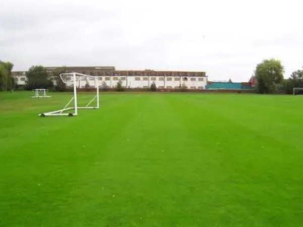 哪里有賣高爾夫球場的草坪種子,哪家種子質量有保障? 哪里有賣高爾夫球場的草坪種子,哪家種子質量有保障?