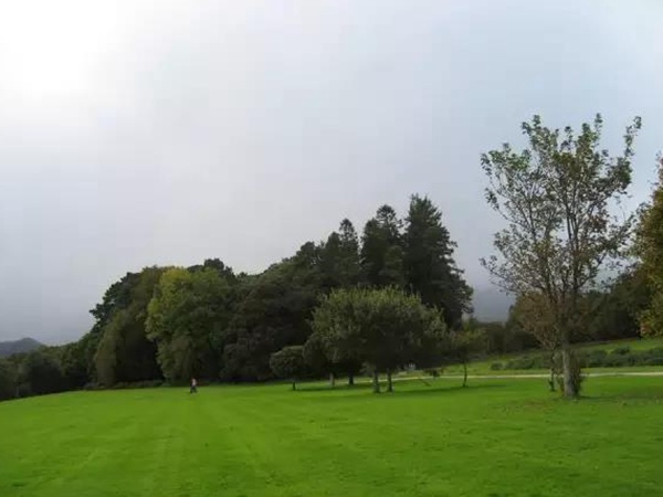 狗牙根春季壞死斑病選擇防治盡量要提前準備！