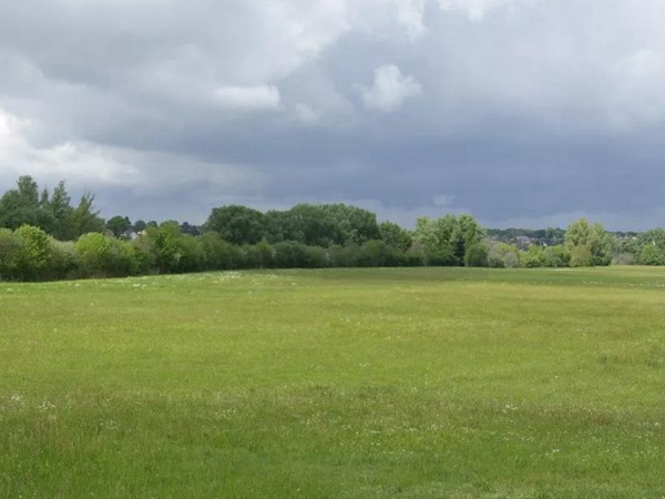 狗牙根品種基本介紹,種植效果 狗牙根品種基本介紹,種植效果