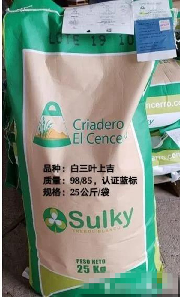 白三葉品種—上吉(Sulky) 白三葉品種—上吉(Sulky)