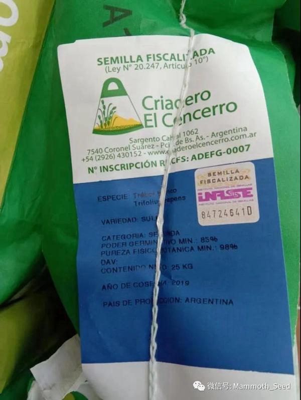 白三葉品種—上吉(Sulky) 白三葉品種—上吉(Sulky)