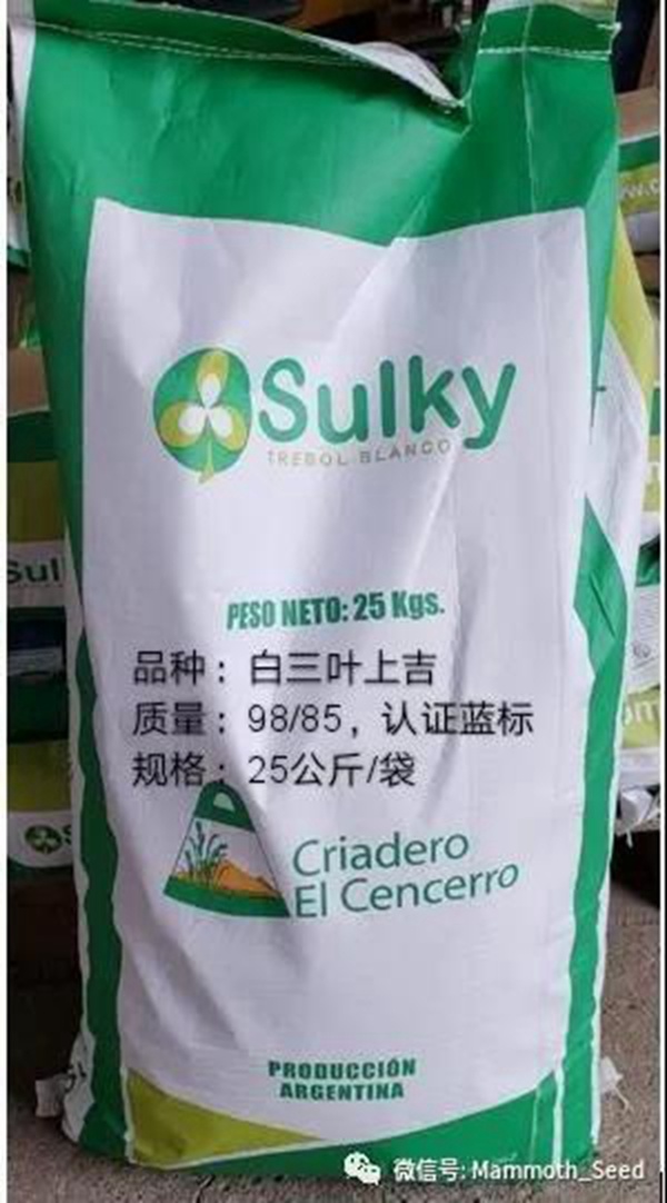 白三葉品種—上吉(Sulky) 白三葉品種—上吉(Sulky)
