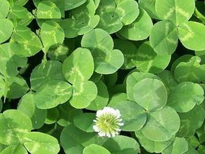 1589883115351992.jpg c56953a8ddeb454b9a41e2b689fe8c8a.jpg