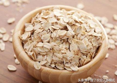 燕麥種子發芽率低怎么辦？怎么樣才能提高燕麥種子的發芽率？