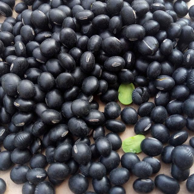 黑豆優(yōu)質(zhì)高產(chǎn)栽培技術(shù)與后期管理方法 黑豆優(yōu)質(zhì)高產(chǎn)栽培技術(shù)與后期管理方法