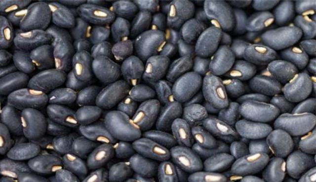 黑豆怎么樣種植?如何提高黑豆高產量? 黑豆怎么樣種植?如何提高黑豆高產量?