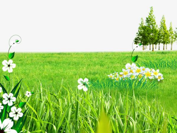 要想草坪養護好,需要注意這幾項 要想草坪養護好,需要注意這幾項