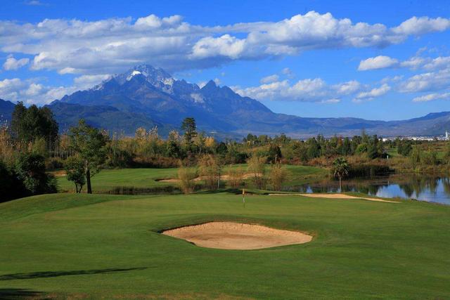草坪綠化中的王者,護坡能力強大的的剪股穎草種 草坪綠化中的王者,護坡能力強大的的剪股穎草種