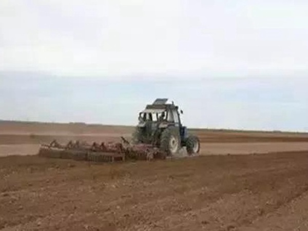 紫花苜蓿春季播種栽培技術(shù) 紫花苜蓿春季播種栽培技術(shù)