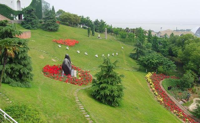 草坪種植養護技術 以及種植方法 草坪種植養護技術 以及種植方法