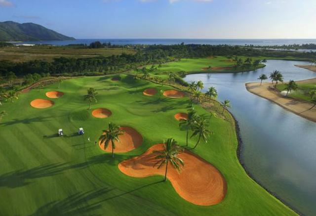 一次種植，多次收益的優(yōu)質(zhì)牧草——多年生黑麥草