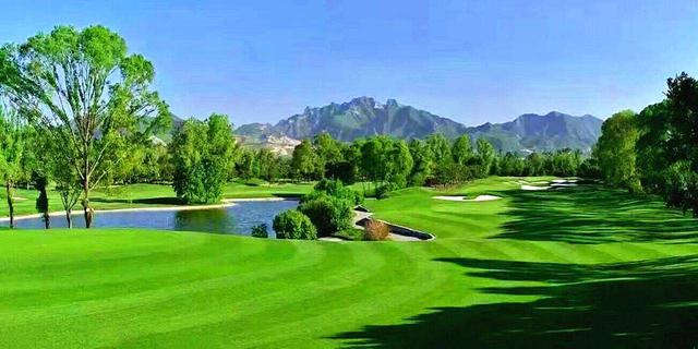 早熟禾優質的草坪草——早熟禾牧草種子 早熟禾優質的草坪草——早熟禾牧草種子