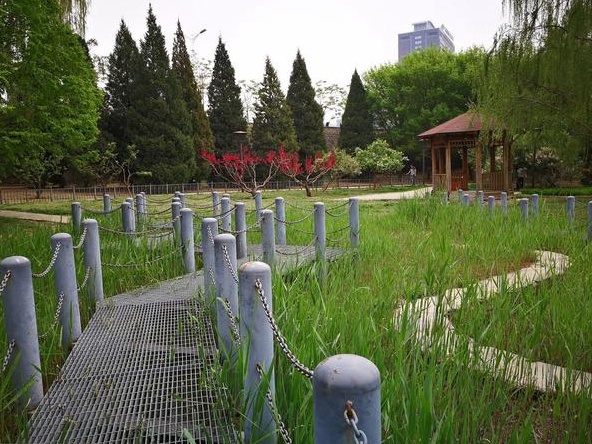 草坪的作用不僅僅是美化環境 還可以凈化空氣、過濾塵埃 草坪的作用不僅僅是美化環境 還可以凈化空氣、過濾塵埃