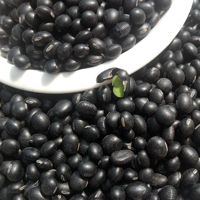 黑豆優(yōu)質(zhì)高產(chǎn)栽培技術(shù)與后期管理方法 黑豆優(yōu)質(zhì)高產(chǎn)栽培技術(shù)與后期管理方法