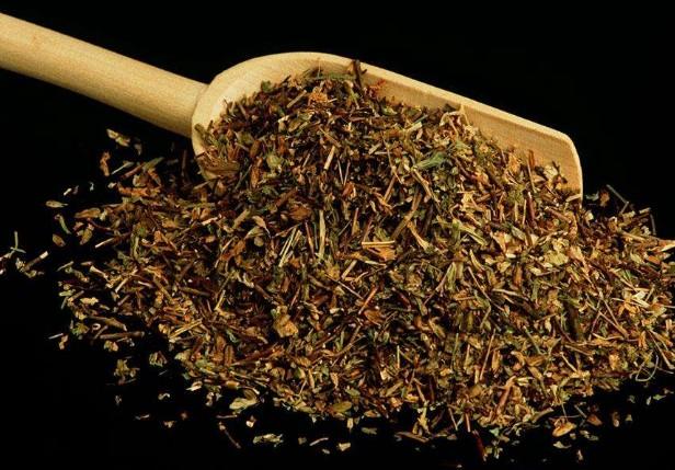 要想小米草種的好,要學(xué)會(huì)種植的技巧與方法 要想小米草種的好,要學(xué)會(huì)種植的技巧與方法