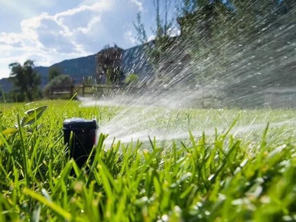 草坪養護 | 夏季管理管理技術要點與栽培方法 草坪養護 | 夏季管理管理技術要點與栽培方法