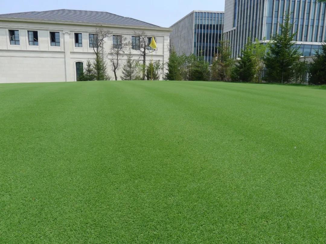 草坪如何才能美如畫,需要這幾個步驟 草坪如何才能美如畫,需要這幾個步驟