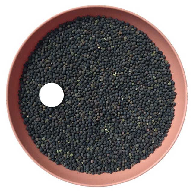 優(yōu)質養(yǎng)蜂蜜源植物、牧草光葉紫花苕的種植技術 優(yōu)質養(yǎng)蜂蜜源植物、牧草光葉紫花苕的種植技術