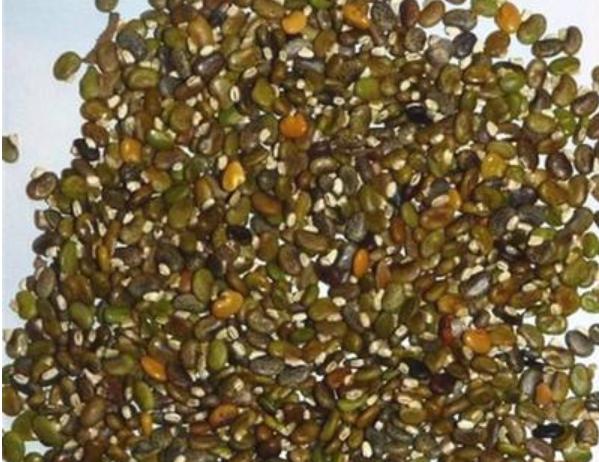 毛豆常見,山毛豆種植技術有哪些? 毛豆常見,山毛豆種植技術有哪些?