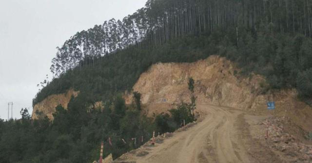 綠籬之王—銀合歡種植環境 綠籬之王—銀合歡種植環境