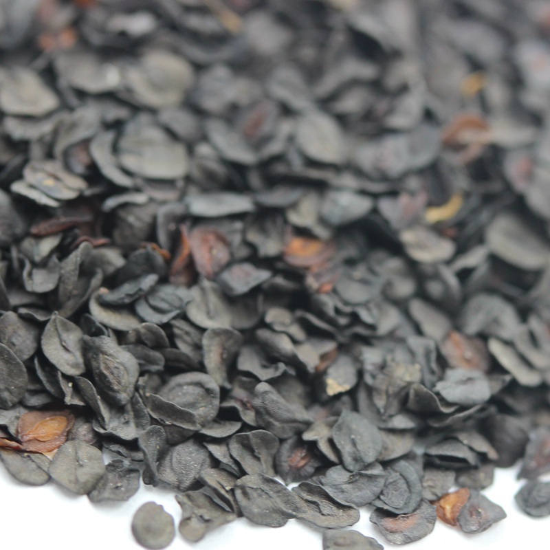 常夏石竹 常夏石竹