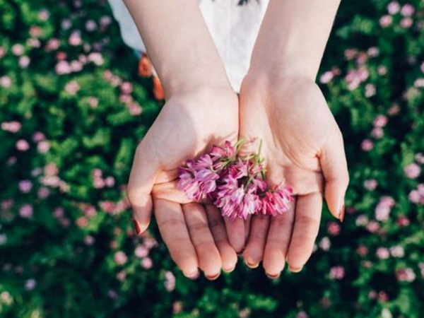 誤入人間的天使——紫衣花海的紫云英 誤入人間的天使——紫衣花海的紫云英