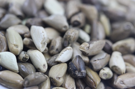 1625064714922243.jpg image.jpg