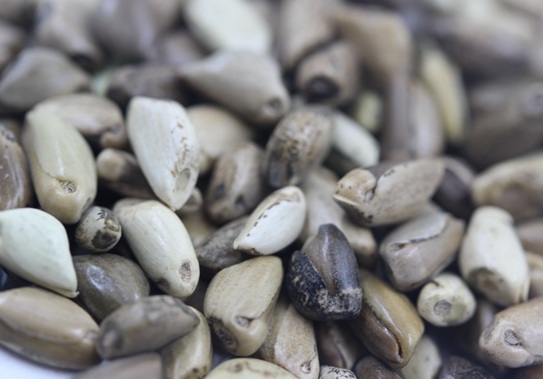 1625276365570106.jpg image.jpg