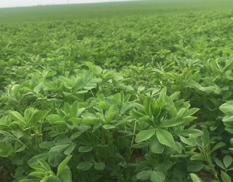 1626082524907318.jpg image.jpg