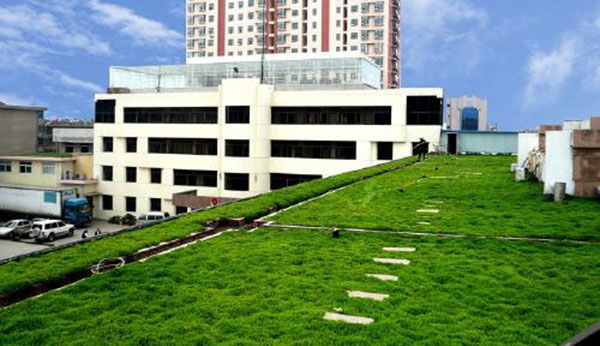 佛甲草屋頂綠化案例 佛甲草屋頂綠化案例