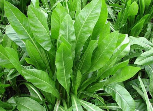 1626404023514097.jpg image.jpg