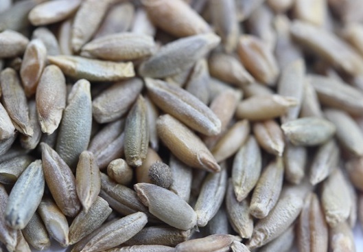 1626404102324082.jpg image.jpg