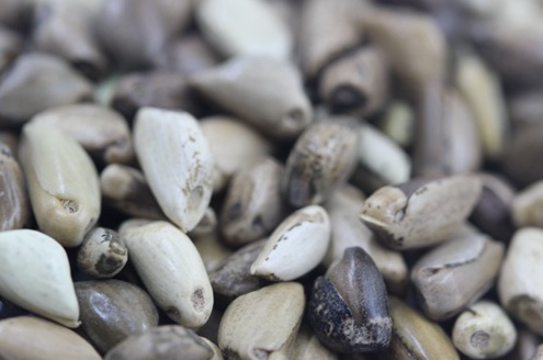 1626702620186362.jpg image.jpg