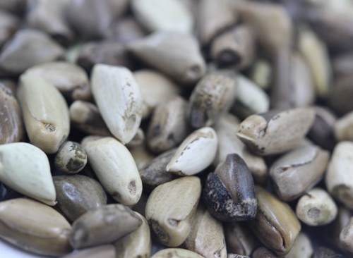 1626870225977473.jpg image.jpg