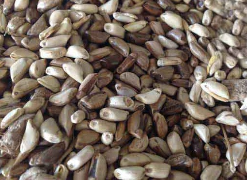 1626870341405372.jpg image.jpg