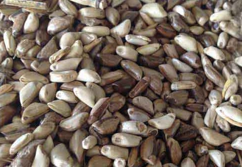 1626870413205986.jpg image.jpg